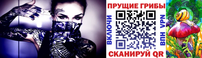 Галлюциногенные грибы Cubensis  МЕГА ТОР  дарк нет официальный сайт  Лянтор 